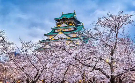 Osaka Castle 120min Package
